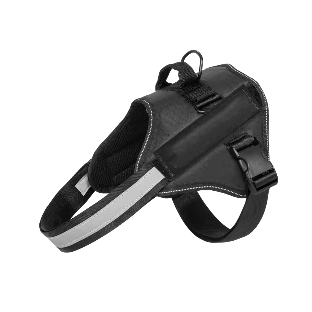 Buy 2 Get 2 Free - Harness