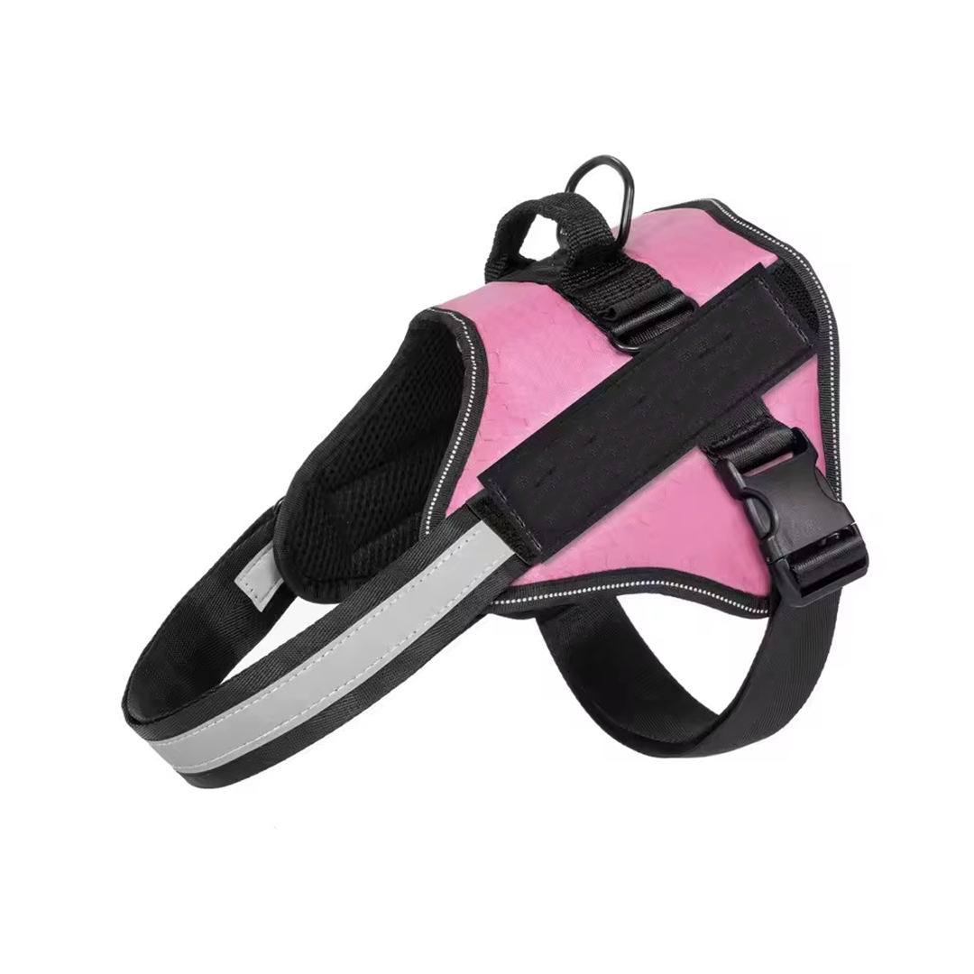 Buy 2 Get 2 Free - Harness